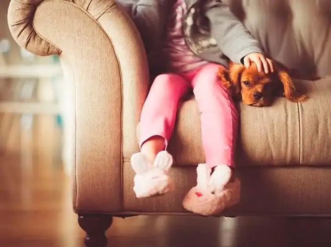 ¿Qué es la parvovirosis canina?
