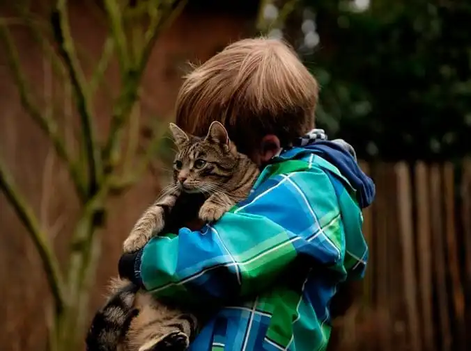 Los gatos que dan amor