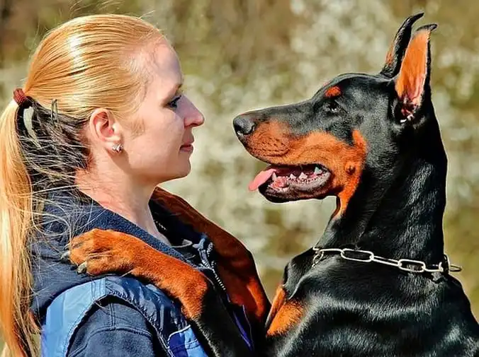 Beneficios en salud que te aportará tu mascota