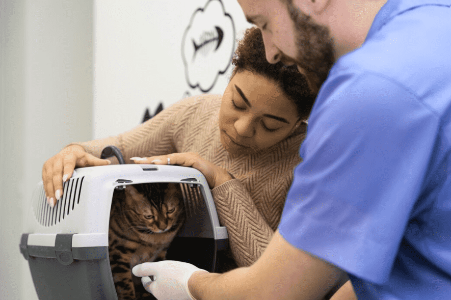 Galería de Centro Veterinario El Nido en Parla radiología veterinaria