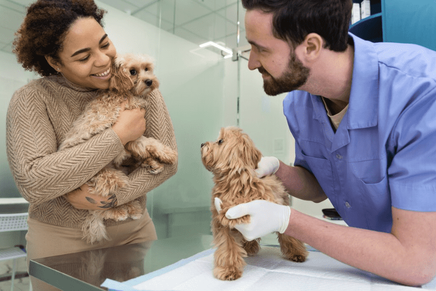 Galería de Centro Veterinario El Nido en Parla radiología veterinaria
