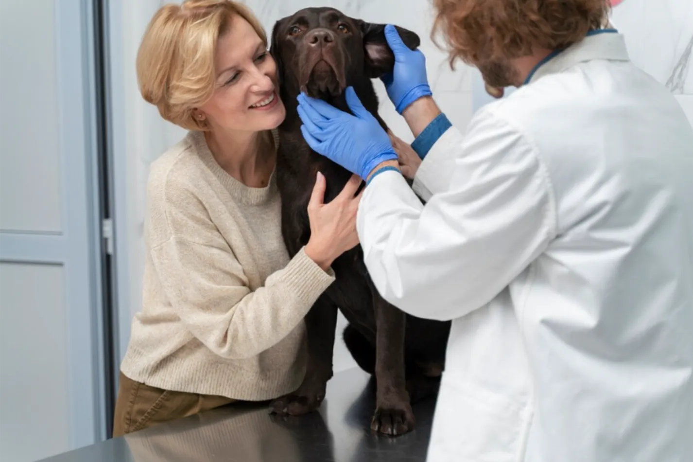 Plan de salud anual para perros adultos en Centro Veterinario El Nido