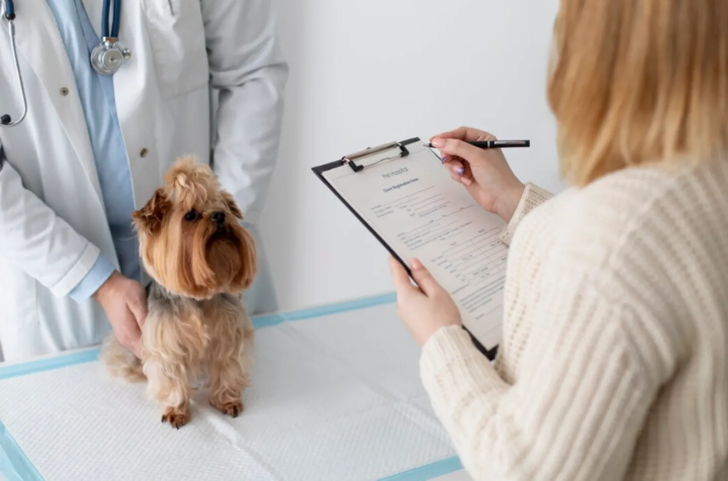 Plan de Salud Anual Premium para Cachorros en Centro Veterinario El Nido