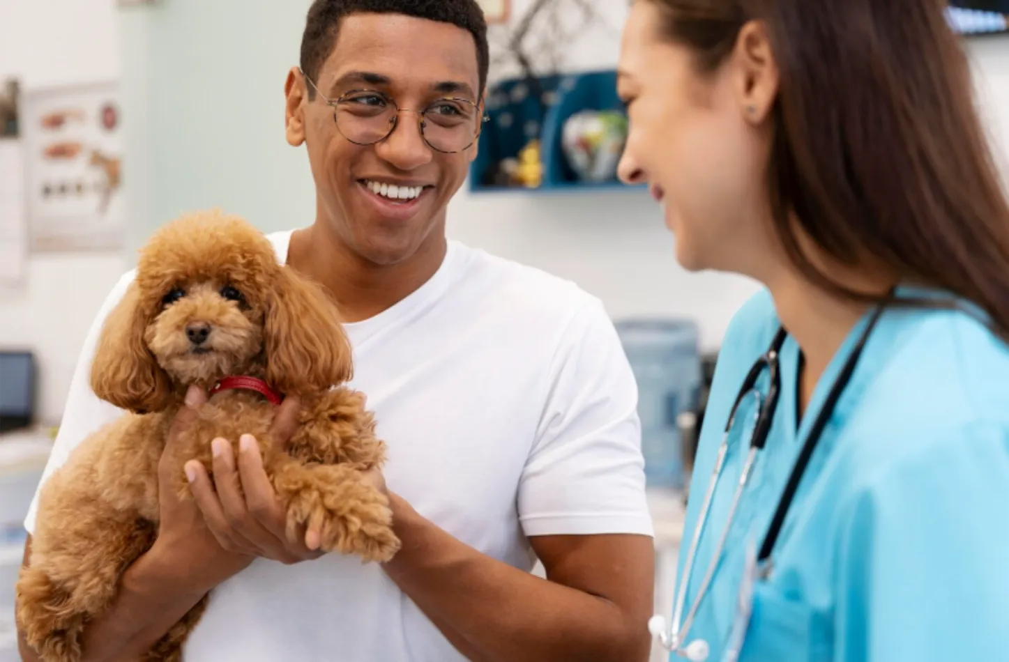 Planes de salud para mascotas en Parla