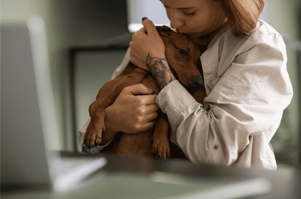 Cómo proteger a perros y gatos antes de que aparezcan enfermedades