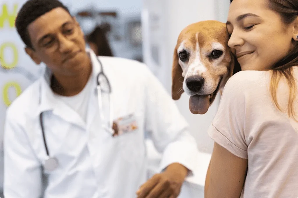 Cuida la salud de tu mascota todo el año con planes preventivos