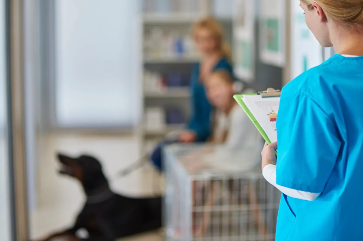 Clínica veterinaria en Parla realizando controles preventivos a perros y gatos